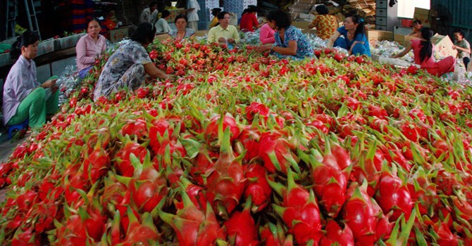 Nhật Bản - thị trường tiềm năng đối với sản phẩm nông, thủy sản Việt Nam